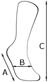 Sizes display mannequin foot