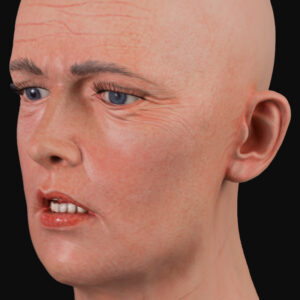 Realistic womens head | Airbrushed