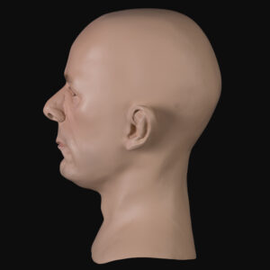 Male display head with extended neck