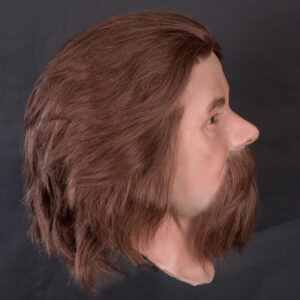 Male silicone display head with beard