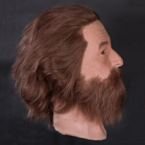 Male silicone display head with beard