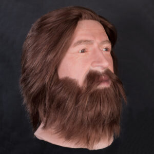 Male silicone display head with beard