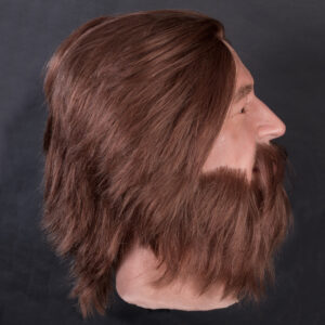 Male silicone display head with beard