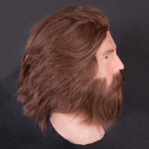 Male silicone display head with beard