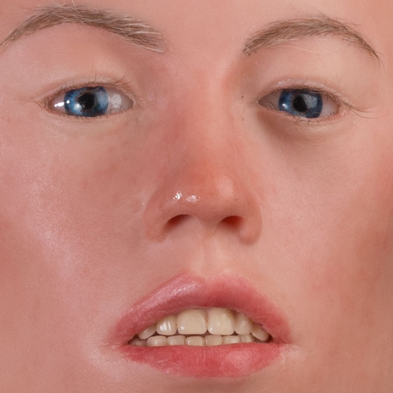 Prosthetic teeth in silicone heads