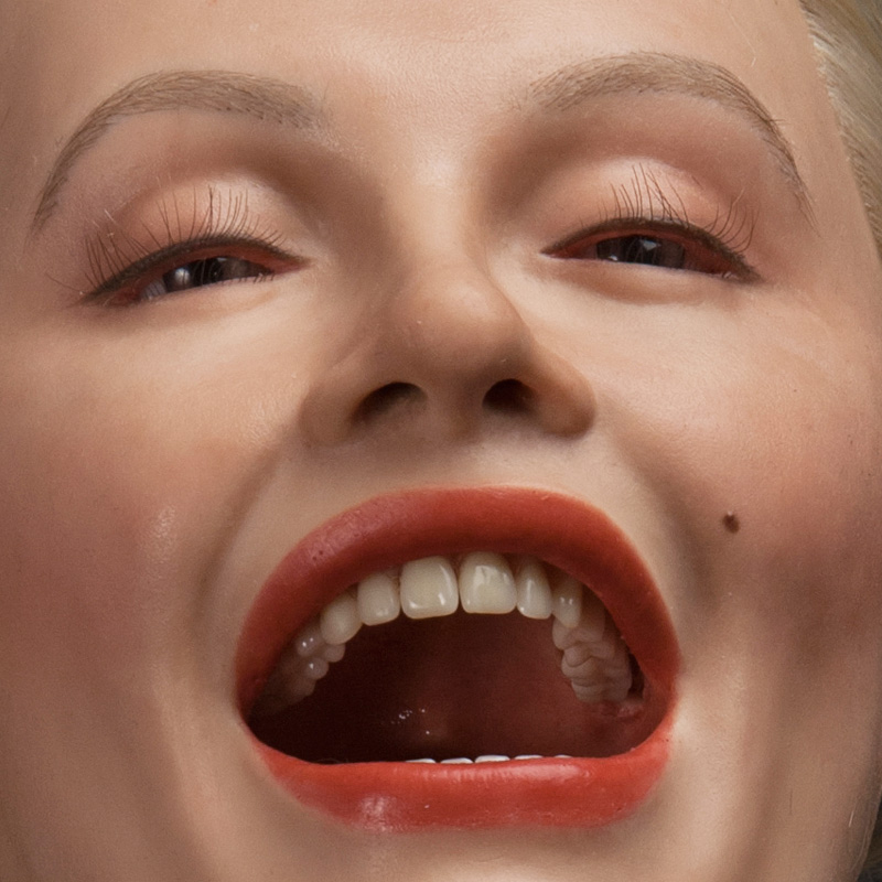 Prosthetic teeth in silicone heads