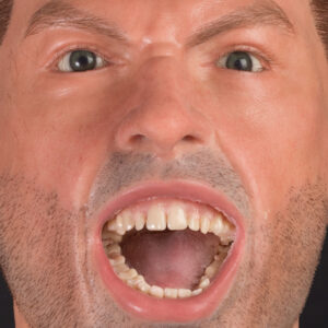 Prosthetic teeth in silicone heads