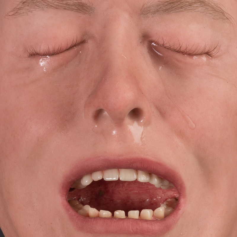 Prosthetic teeth in silicone heads