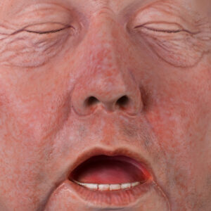 Painted fibreglass teeth in fibreglass heads