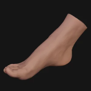 FOOT01R Right display foot