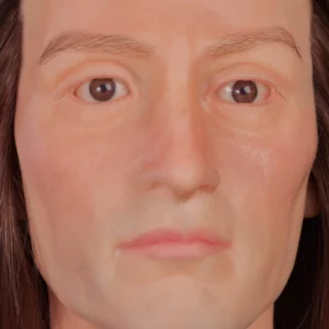 Realistic male silicone display head