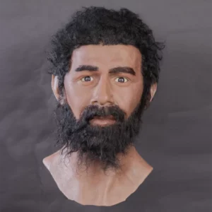 Realistic male silicone display head with beard