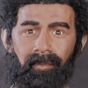 Realistic male silicone display head with beard