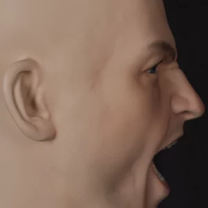 Male display head with prosthetic teeth