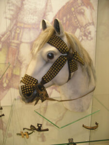 display horse head at Vytauto Didžiojo karo muziejus