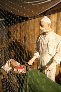 Memory Museum Nijverdal-military field hospital mannequin display
